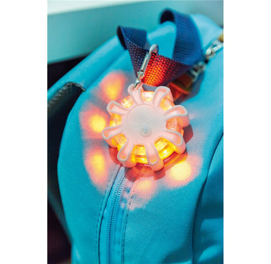 LED-Warnlicht 'Backstreet' VE-50